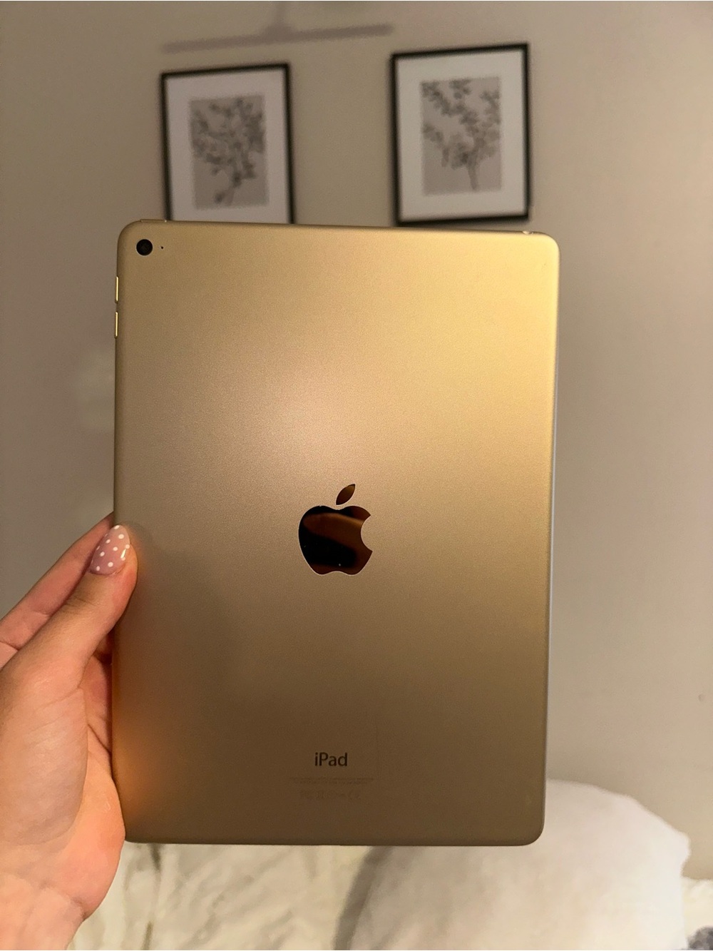 Apple iPad Air 2–Gold